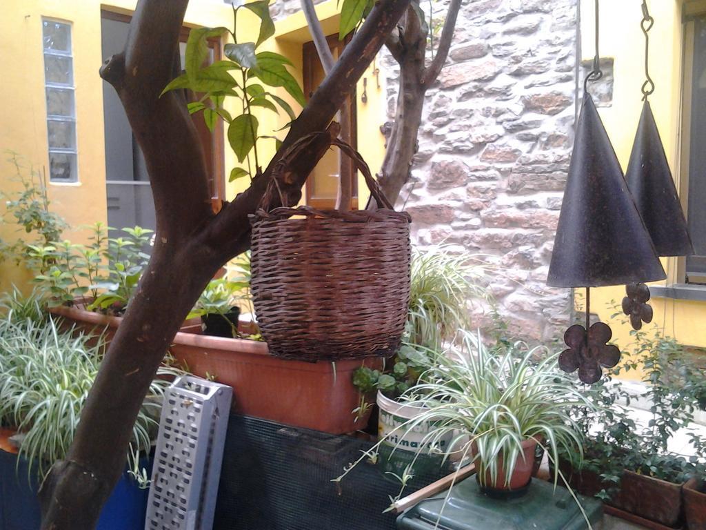 B&B Su Semucu Ballao Kültér fotó