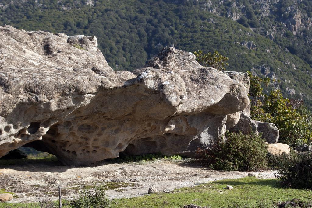 B&B Su Semucu Ballao Kültér fotó